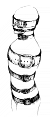 Cuirasse musculaire.png